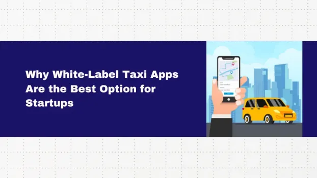 Why White-Label Taxi Apps Are the Best Option for Startups