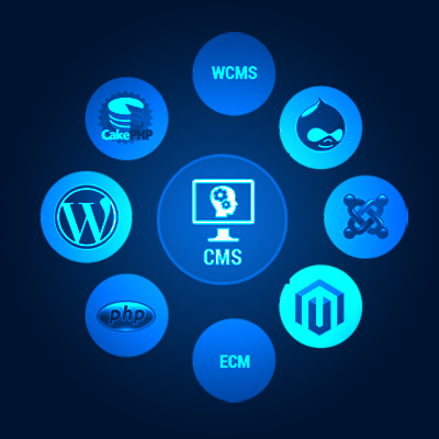 CMS Website Development