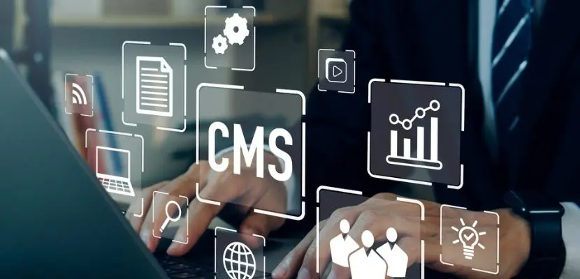 Content Management Systems