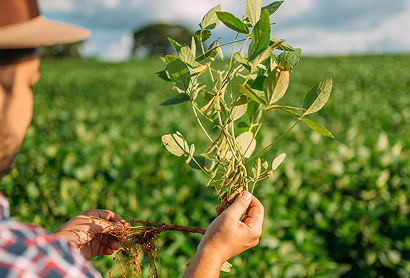 Agritech And Farm Businesses